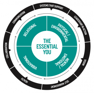 The Essential You Diagram
