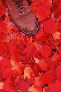 boot-leaves
